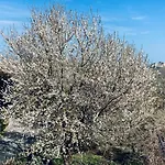 호텔 Casa Clara Torriana