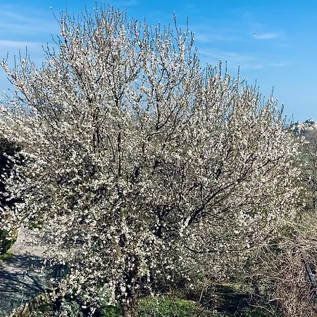 فندق Casa Clara Torriana (Rimini)