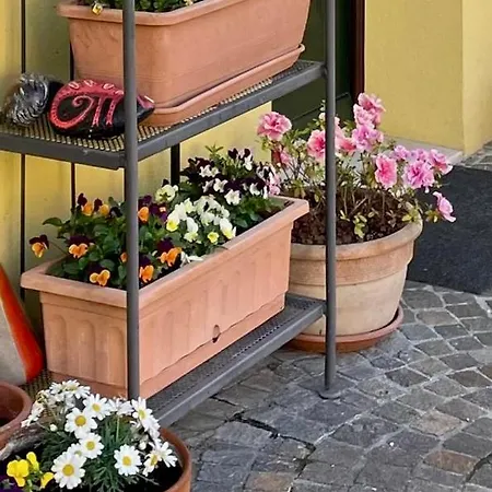 Casa Clara