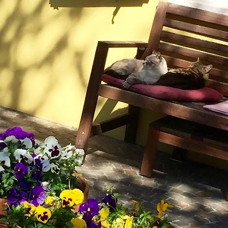 Casa Clara מלון Torriana