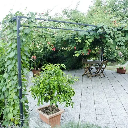 Casa Clara فندق *
