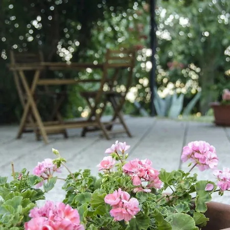 فندق Casa Clara Torriana (Rimini)