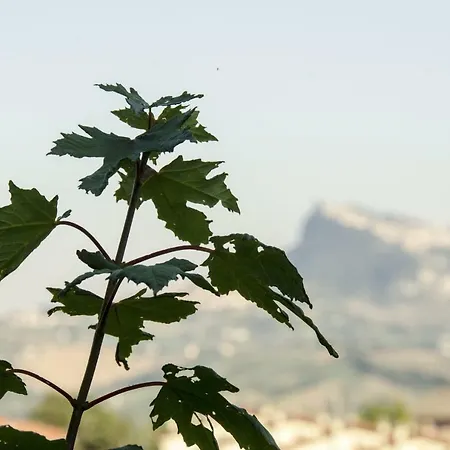 فندق Casa Clara Torriana (Rimini)