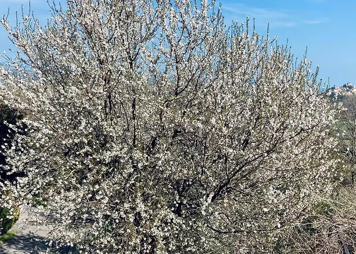 Hotel Casa Clara Torriana