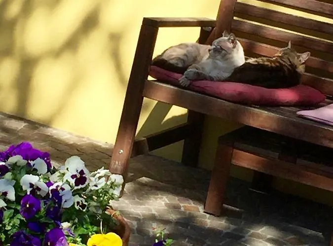 Casa Clara Hotel Torriana