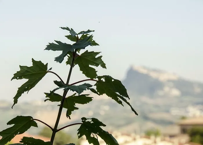Hotel Casa Clara Torriana